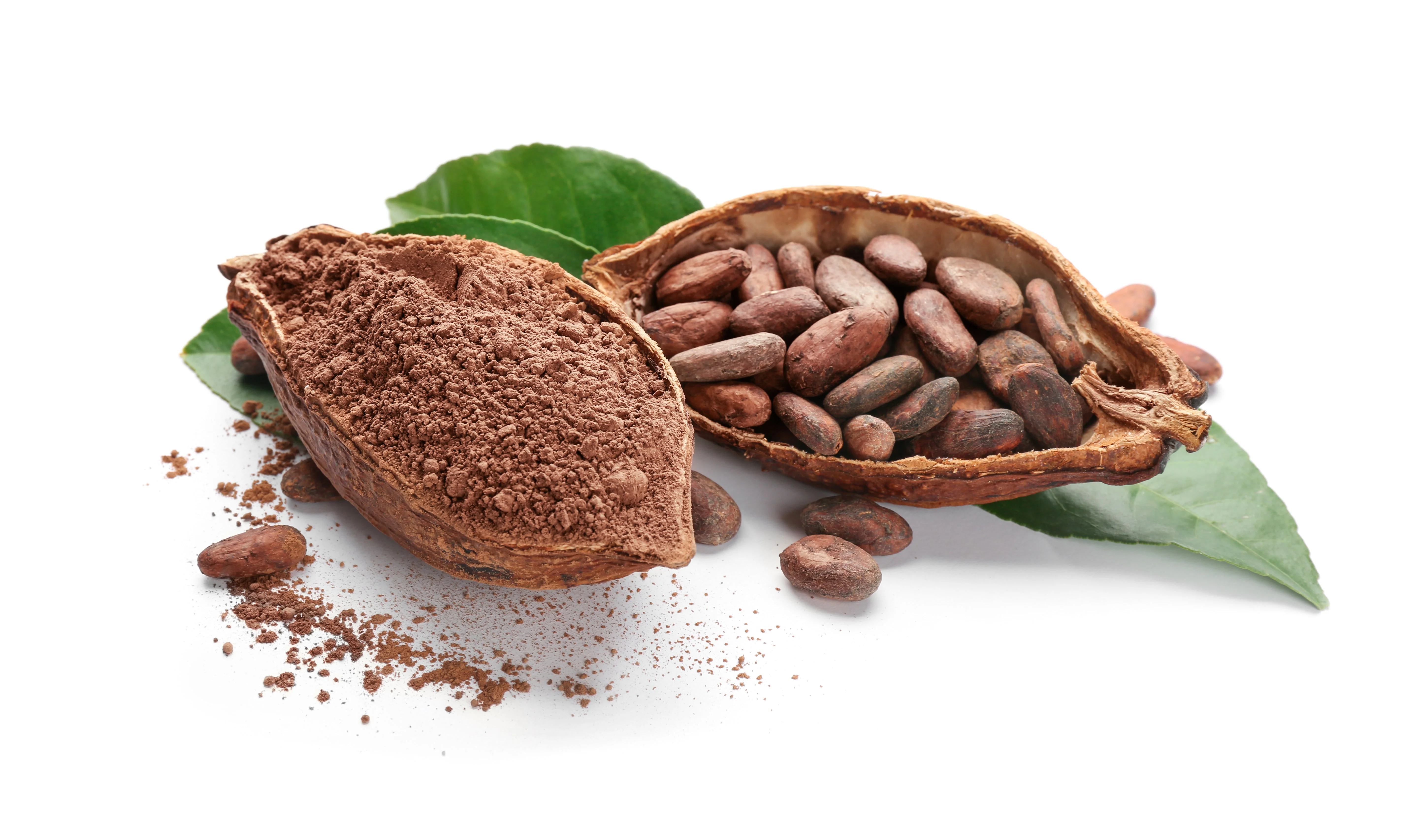 Cocoa